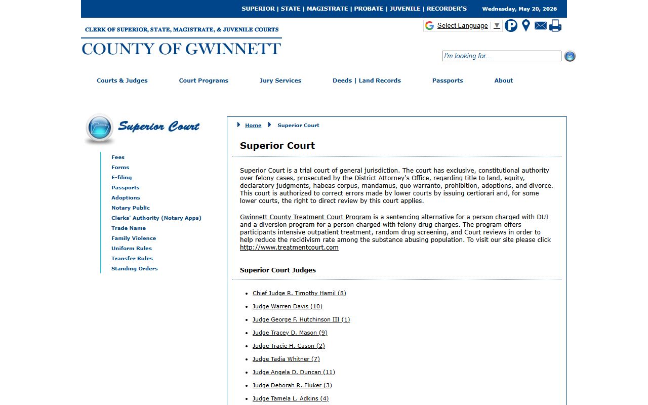 Gwinnett County criminal records Superior Court felony case page